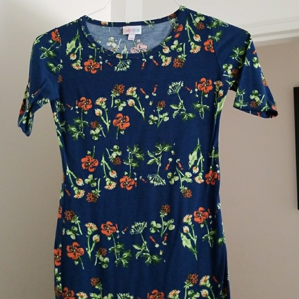 💙SOLD💙 Lularoe Julia dress